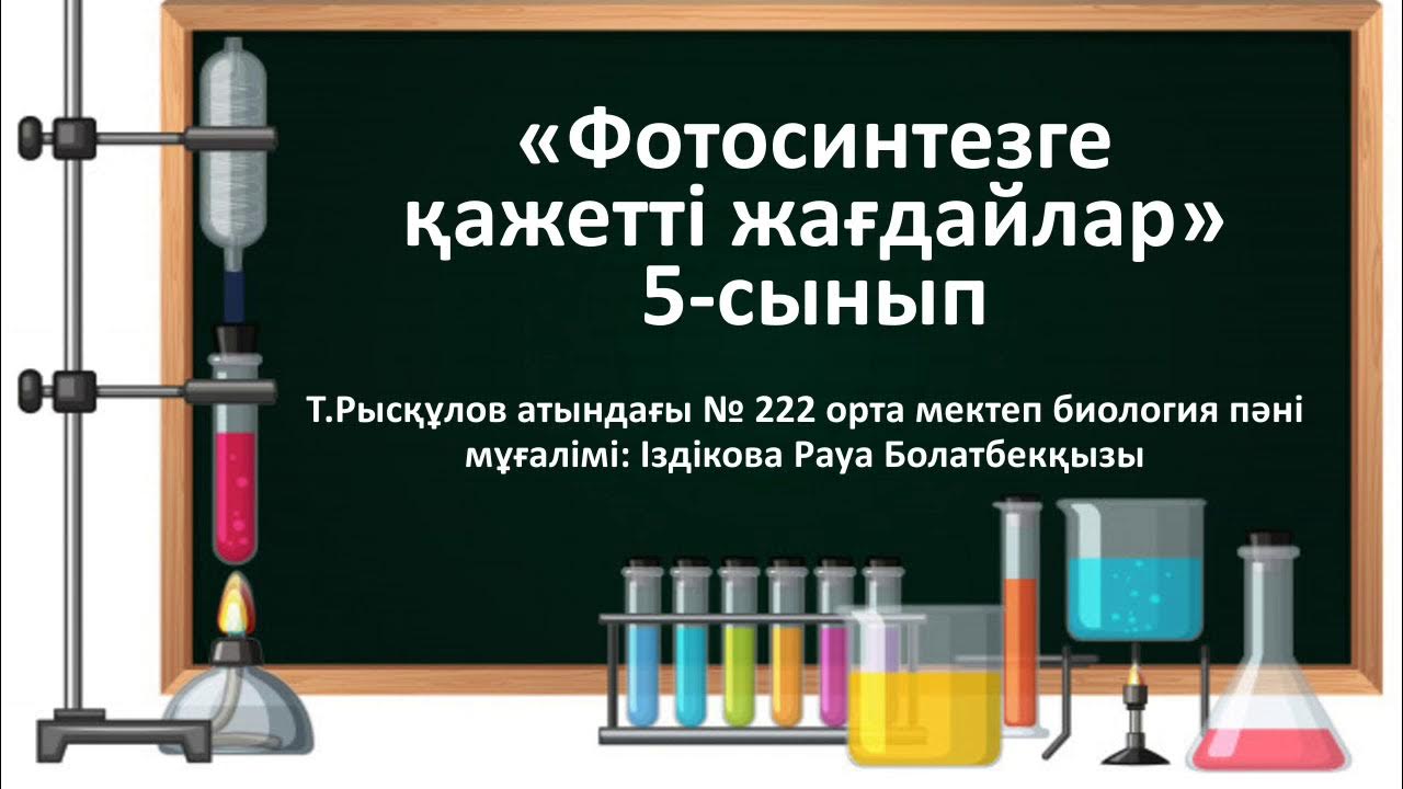 Орыс әйелі минет интимдік видео