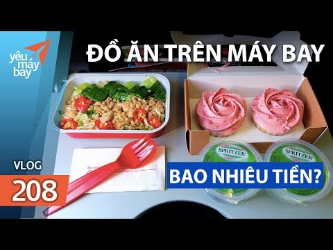 Video VLOG #208: Đồ ăn trên máy bay giá bao nhiêu tiền? |... - youtube