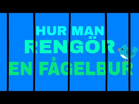 Video: Hur Man Rengör En Ljus Jacka