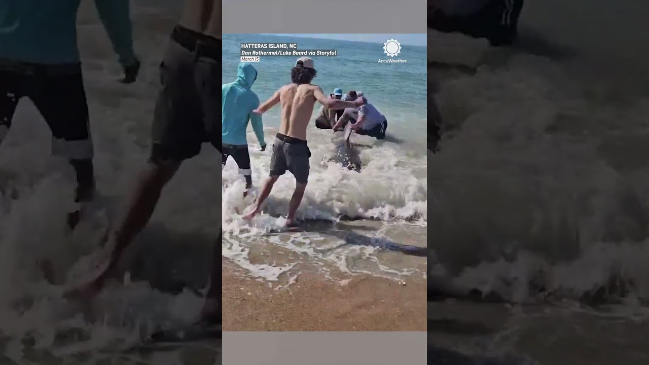 Fisherman Accidentally Catches Great White