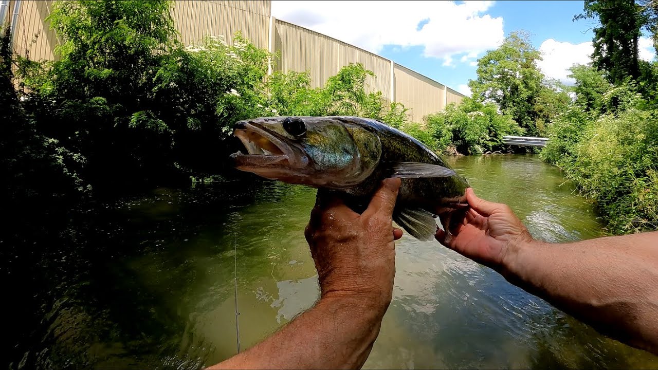 Boîte de pêche - Léger / ultra léger - Truites Perches et rockfishing -  Fredlebaron ¤ Fishing Addict