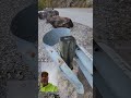 When will Tennessee Inspect its Guardrails?