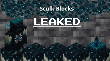 Minecraft Sculk Blocks Leak