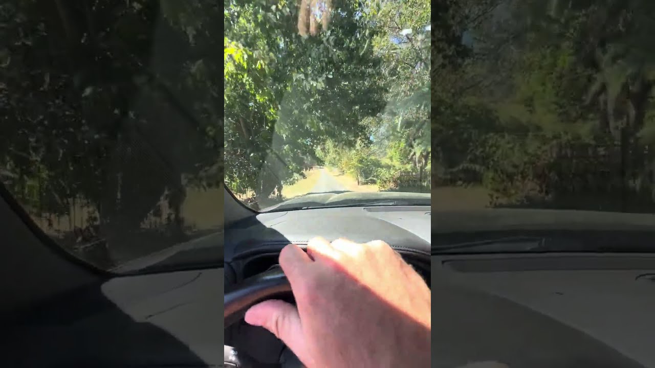 Alive and Well THCA / CBD Flower Sourcing in Southern Oregon