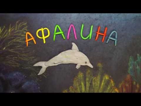 Video: Neurobrucellose I En Vanlig Flaske-delfin (Tursiops Truncatus) Strandet På Kanariøyene