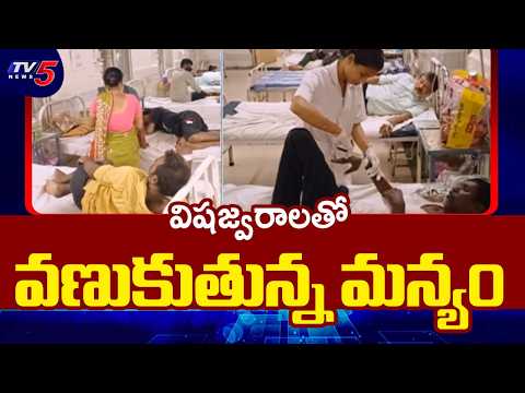 మన్యం జిల్లాలో 1.93 లక్షల ఫీవర్ కేసులు? | Heavy Seasonal Fevers In Parvathipuram Manyam | TV5 News - TV5NEWS