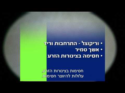 וִידֵאוֹ: מדוע הפריה לא מתרחשת