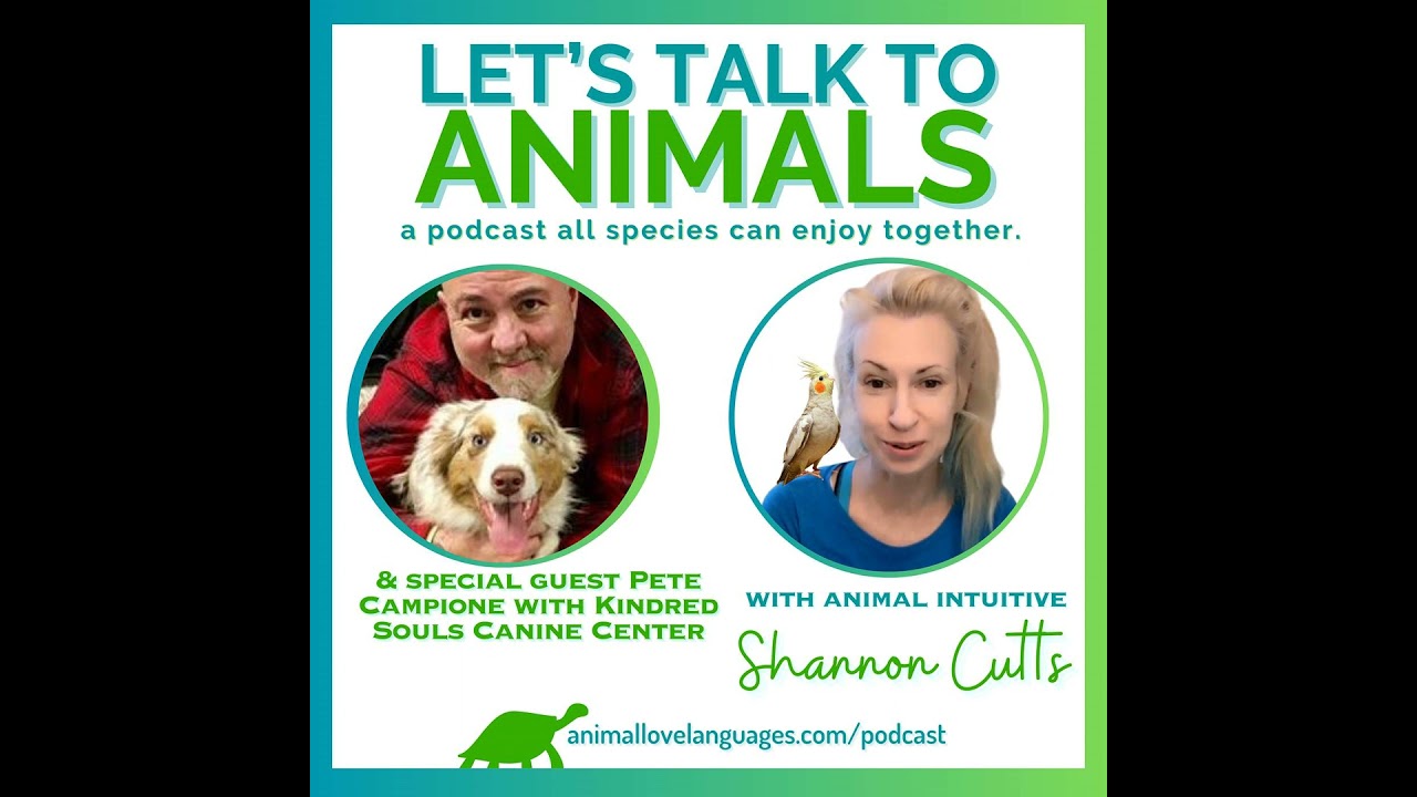 Canine Conversations for Beautiful Behavior and Healthy Interspecies Bonds