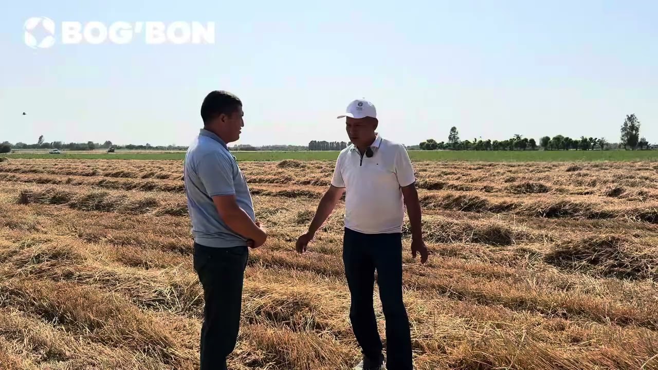 Yangi navli g‘alla natijalari haqida! 🌾📈