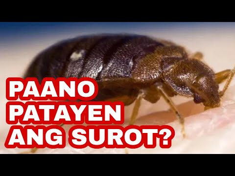 Video: Paano Papatayin Ang Isang Tao