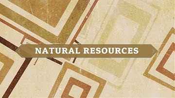 Natural Resources: Biogeochemical Cycles and Ozone Layer