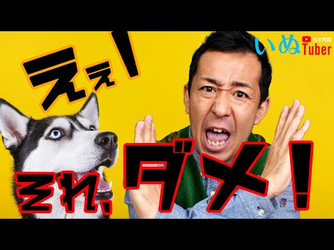 松本秀樹流！それ、ダメ！名前を呼んだ後にやってはイケナイコト！犬とトレーニング
