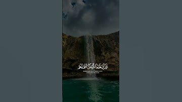 قرآن كريم تلاوه خاشعه صوت الشيخ ياسر الدوسري #اكسبلور #راحة_نفسية #قران