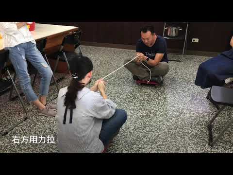 【牛頓第三運動定律】滑車實驗