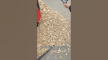 The drum chipper handles wood easily #crusher #crushingtime #farming