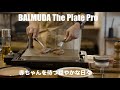 #3 赤ちゃんを待つ穏やかな日々 『鉄板焼きと里帰り出産の時間』【BALMUDA The Plate Pro / pregnant / Jeep Wrangler 】
