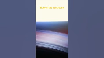 bluey in the backrooms