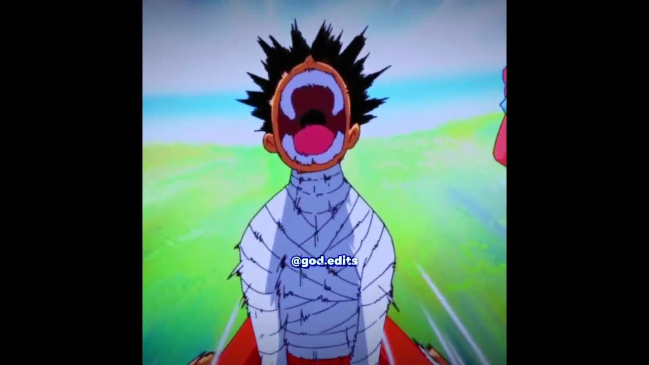 When Luffy Woke Up After Ace's Death