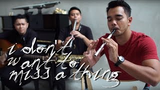 I Don't Want To Miss A Thing  - Alif Satar Cover
