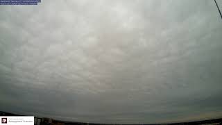 2021-11-27-nw