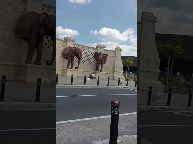 patung gajah kembar class=