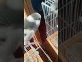 Using this sound but with Winter. Will he comment?