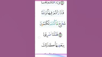 القران الكريم سورة البقرة The Holy Quran Surat Al-Baqarah O Alcorão Sagrado, Surat Al-Baqarah Der He