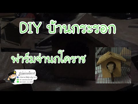 DIY บ้านกระรอก