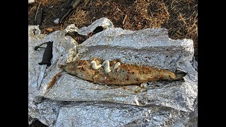 Приготовление пеленгаса в фольге на костре и бревенчатый парк в лесу. Приготовление пеленгаса в фольге на костре и бревенчатый парк в лесу.