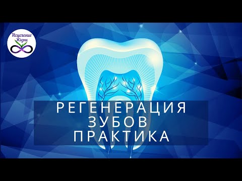 Регенерация зубов практика