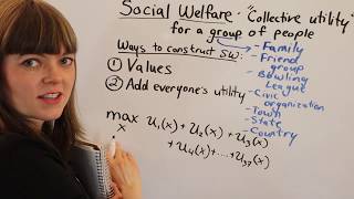 Social Welfare Fn Overview
