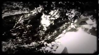 Wolfhound Trailer