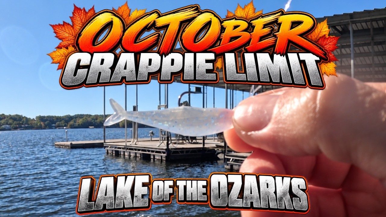 Easy Crappie Limit in October | Lake of the Ozarks
