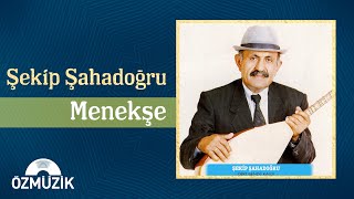 Şekip Şahadoğru - Menekşe  Resimi