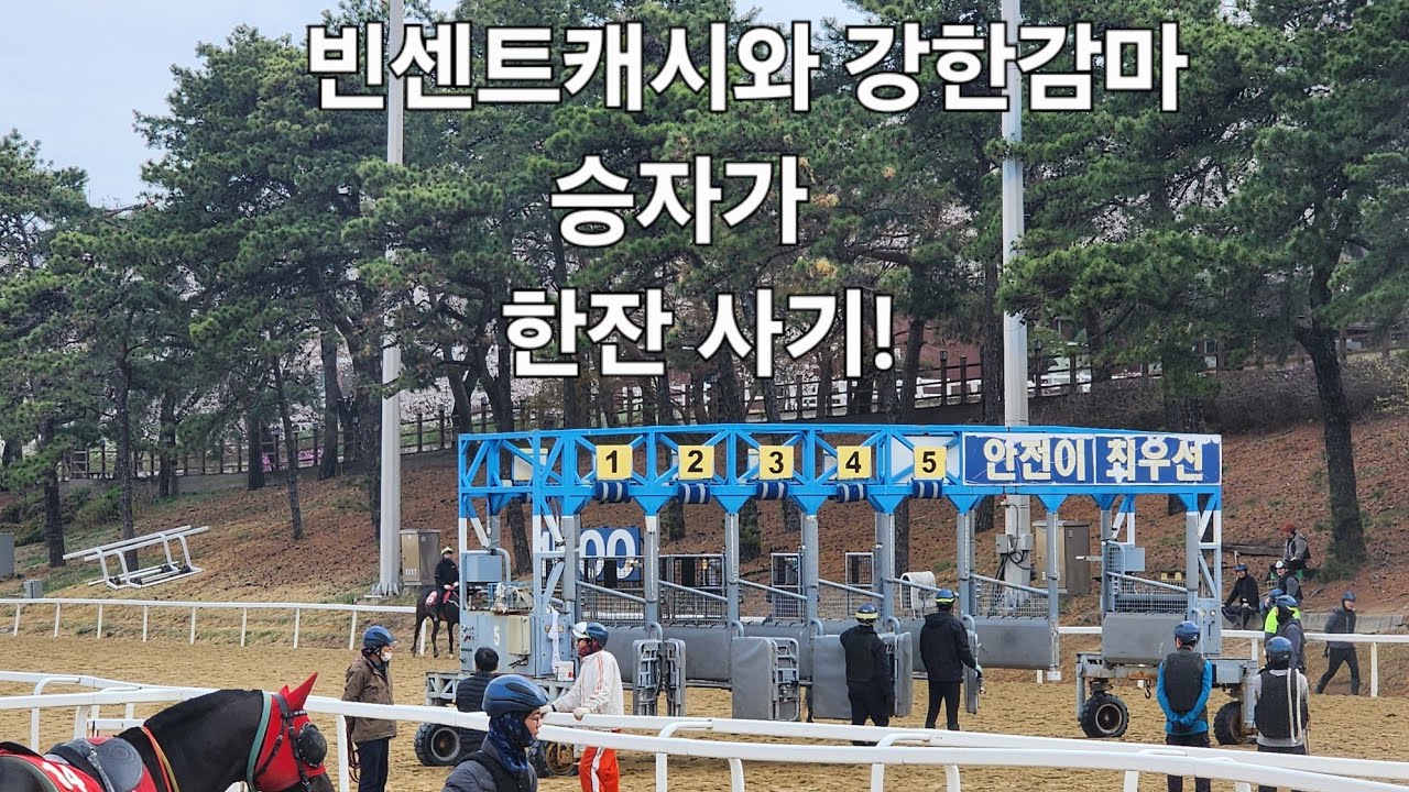 빈센트캐시와 강한감마 승자가 한잔 사기!