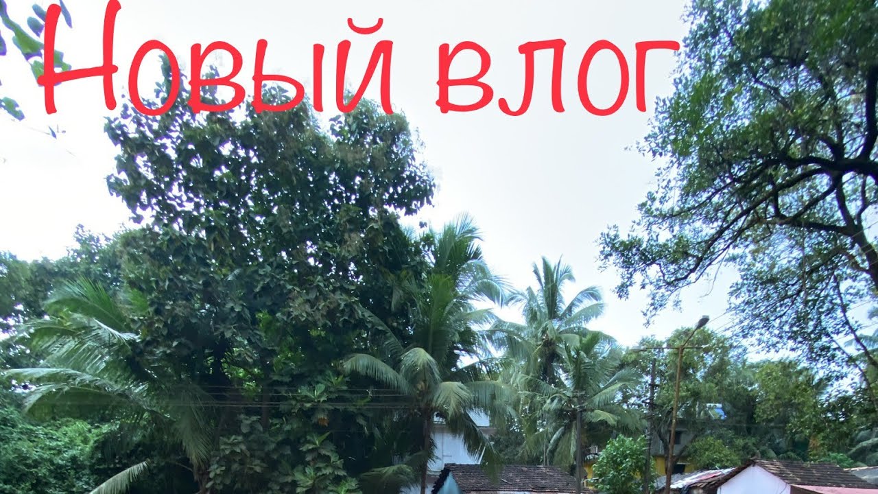 Поехали до храма в Сиолим. Индия , Гоа.