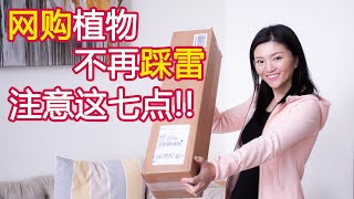 [ENG SUB] 做好这7条 网购植物不踩雷 你都做到了吗 | 7 Tips for Online Plant Shopping | 冬季网购 | 室内植物 网购成功失败经验分享|