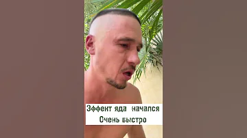 ЯД ЛЯГУШКИ КАМБО   очистка  народная медицина