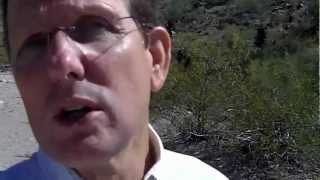 Zillow Phoenix vs. Arizona Real Estate Notebook homes for sa