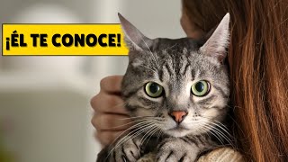 9 COSAS que tu GATO SABE de TI y ni siquiera sospechas.