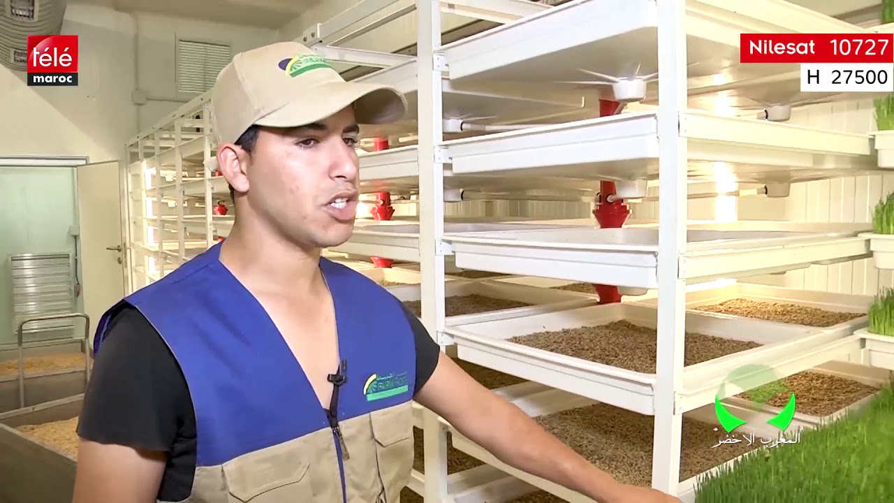 تعرفوا على إنتاج 