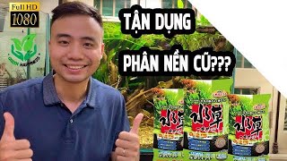 Bao nhiêu lâu thì nền hết dưỡng, liệu phân nền cũ có nên tận dụng? ...