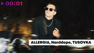 ALLERGIA, Harddope, TUSOVKA - Руль | Official Audio | 2024