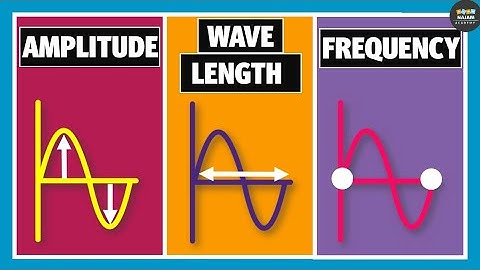 Wavelength, Frequency, Time Period and Amplitude | Physics