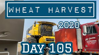 Wheat Harvest 2020 - Day 105
