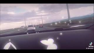 TPLEX