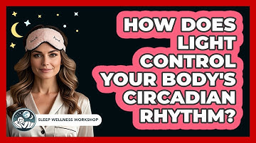 How Does Light Control Your Body