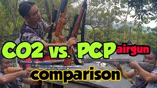 PCP-taurus optimum VS.CO2-nimrod short review comparison
