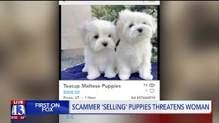 Woman threatened after calling out dog ad scam