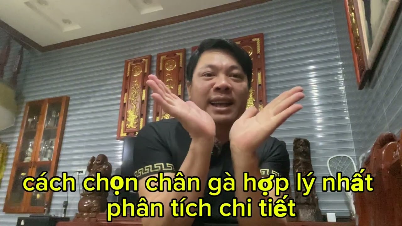 cách chọn chân gà và phân tích chi tiết nhất_tintuc24h_kinh nghiệm từ @mrthogalai  .